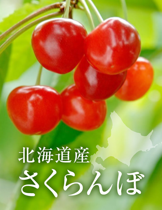 北海道さくらんぼ