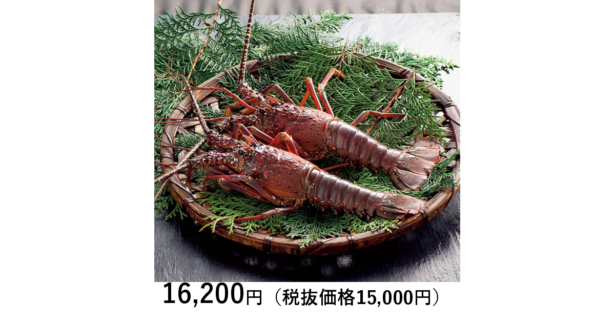 日本の極み] 三重県伊勢志摩産 活伊勢海老 ７５０ｇ（お届けは１０月１０日～４月３０日）｜カタログギフトのリンベル[公式]