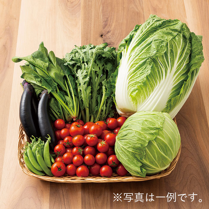 鳥取県産 野菜セット ６種 （お届けは６月１０日～１１月３０日）