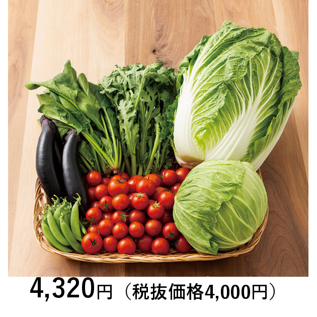 日本の極み　鳥取県産　野菜セット　７種　（お届けは６月１０日～１１月３０日）