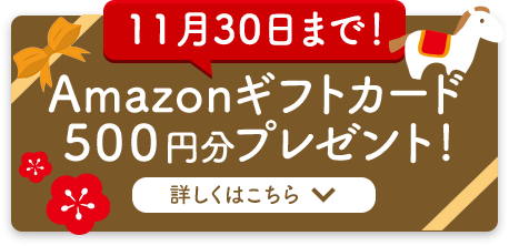 11月30日まで！先着200名様にAmazonギフトカード500円分プレゼント！ 詳しくはこちら