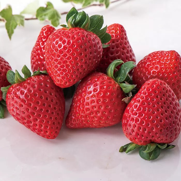 埼玉県本庄市産 いちご(あまりん)350g