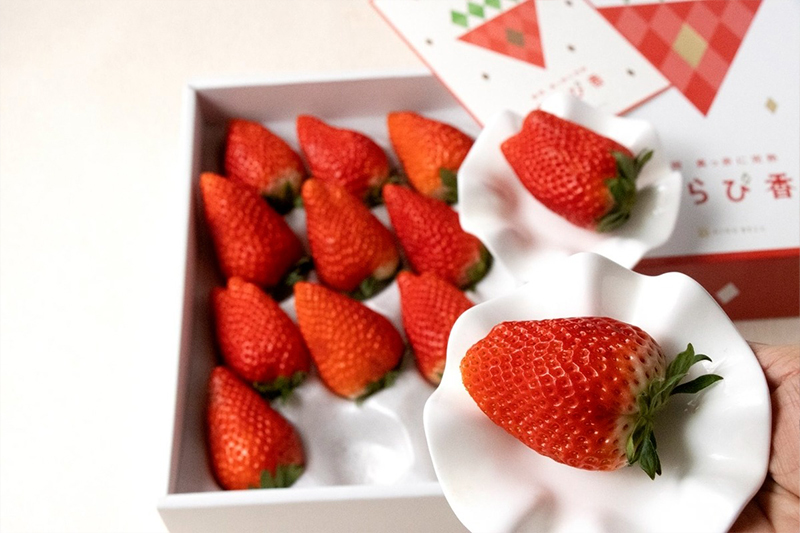 真っ赤に完熟 きらぴ香 写真2