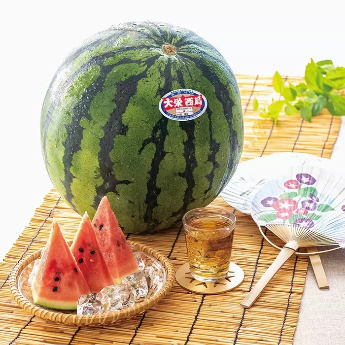 鳥取県産　大栄すいか 11ｋｇ【限定100品】