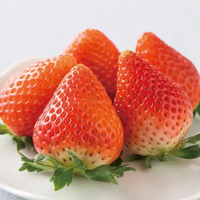 北海道産　夏瑞３６０ｇ【限定100品】