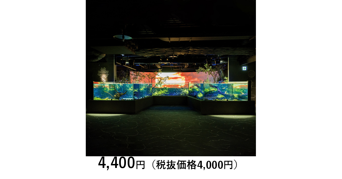 カワスイ 川崎水族館 チケット 入館料（大人2名）+ミニポップコーン2個