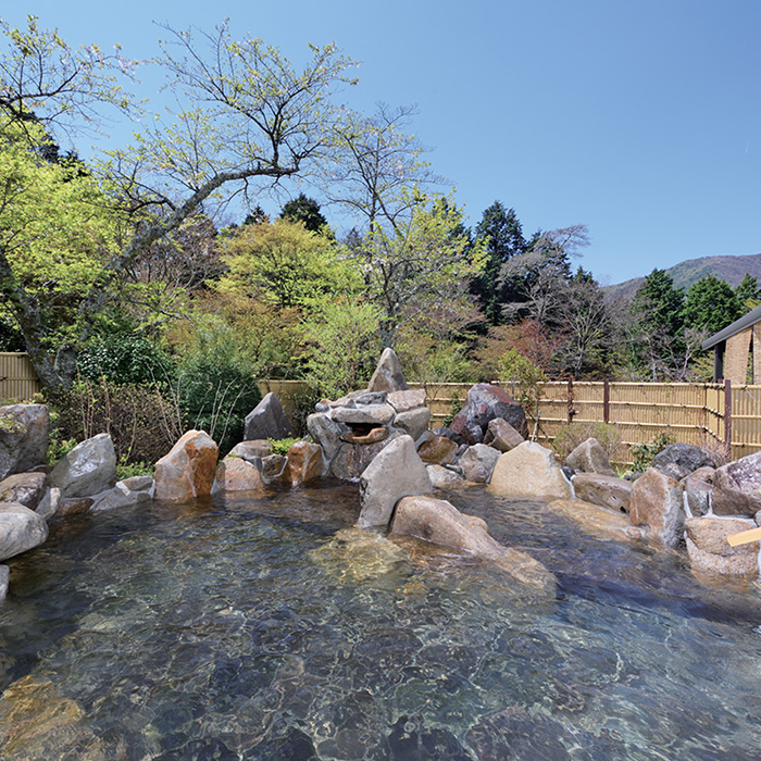 ［神奈川・箱根］箱根高原ホテル 日帰り温泉ペア